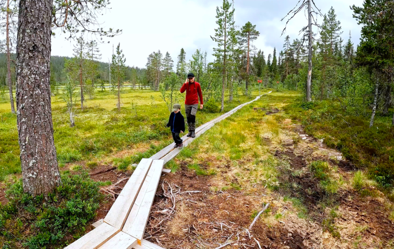 En vuxen går med ett barn på en trä spång genom en grönskande skog.