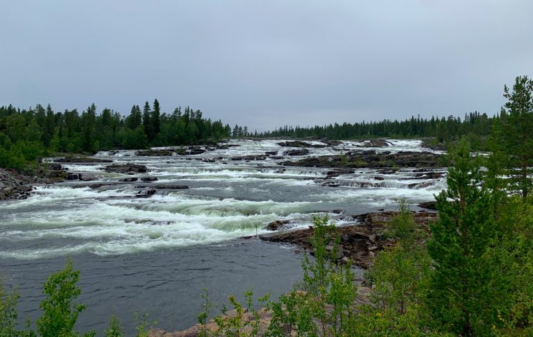 Strömmande flod med klippiga stränder och omgivande grönska under en mulen himmel.