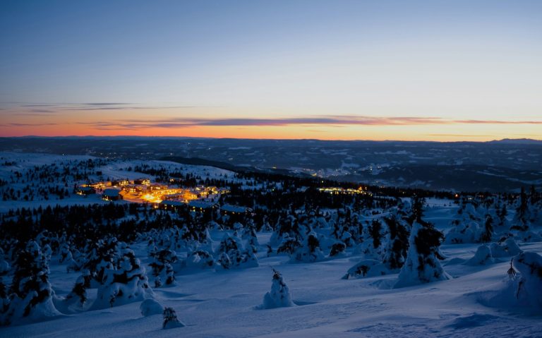 Vinterlandskap med snöklädda träd och en solnedgång i fjärran.