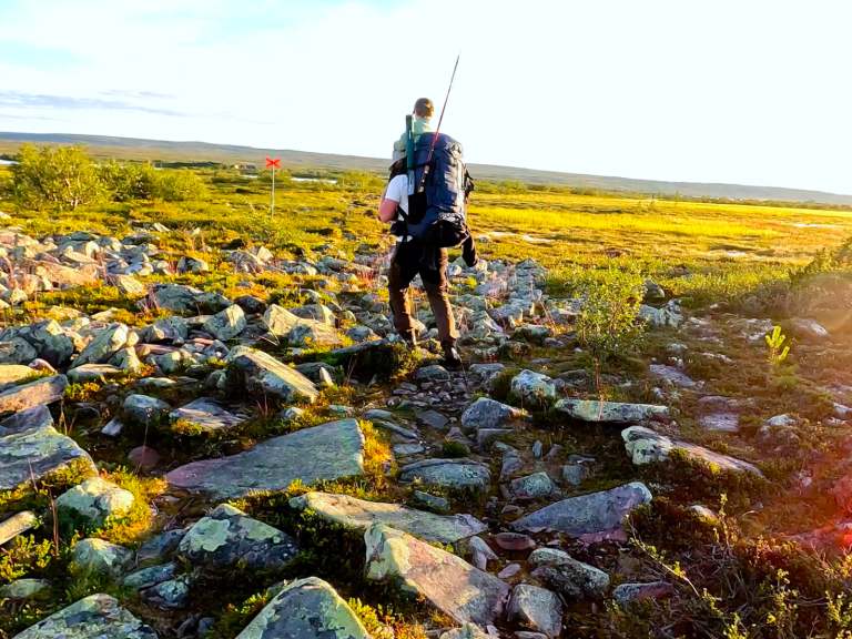 En dramatisk fjord med branta klippor och en vid utsikt över fjärran fjäll.