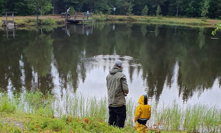 En vuxen och ett barn står vid en spegelblanka sjö, omgivna av gröna träd.
