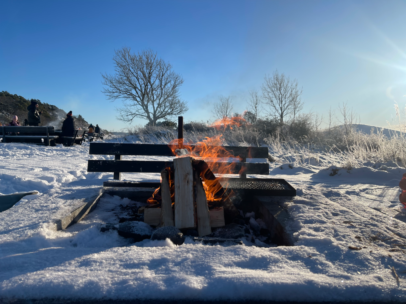 Grillplats Tjolöholms Slott Eld brinner i snön med träbänkar och träd i bakgrunden under en klar himmel.
