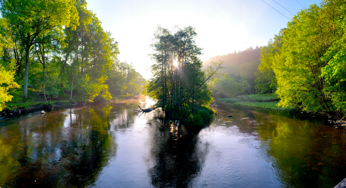 En stilla morgon vid Kusebacka bro(Tullängsbron) omgiven av grönskande träd med solens strålar som lyser genom löven.