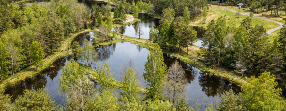 Lummig landskap med spegelblanka sjöar omgivna av grönska.
