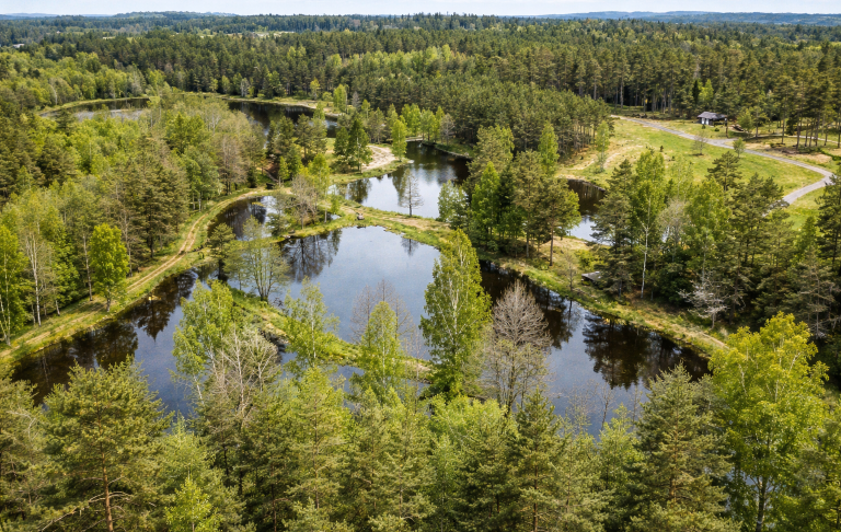 Landskap med sjöar omgiven av grönskande träd och buskar.