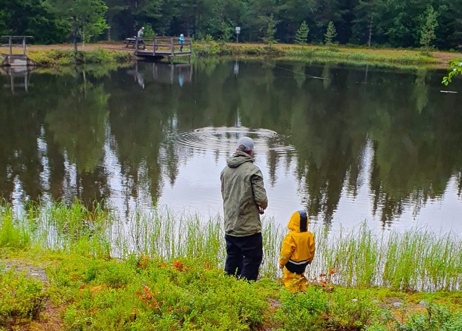 En vuxen och ett barn står vid Stötens put and take sjö  omgivna av grönska. 