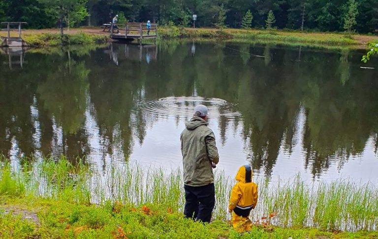 Far och son fiskar En vuxen och ett barn står vid en sjö omgivna av träd.