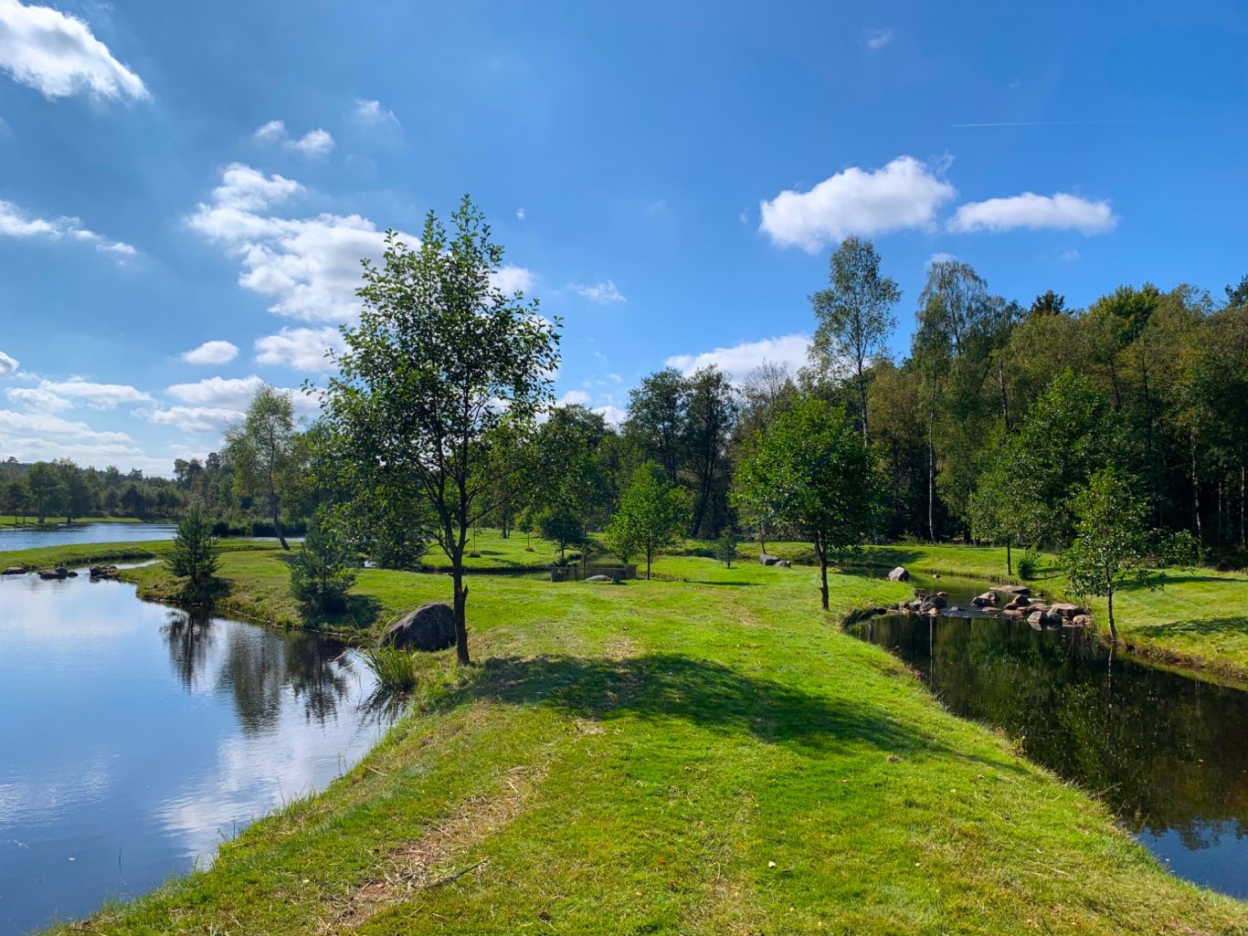 Flugströmmen i Sunnedamm Lugnt landskap vid en sjö med grönskande gräs och träd under blå himmel.