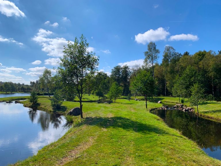 Lummig grönskande landskap vid en sjö med blå himmel och några vita moln.