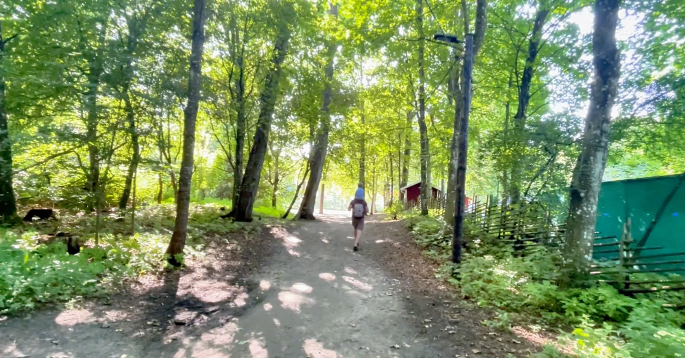 Utanför Vallarnas Friluftsteater En löpare på en grusväg omgiven av gröna träd och solig skog.