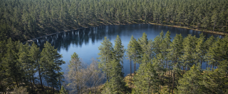 En stilla sjö omgivet av täta, gröna skogar.