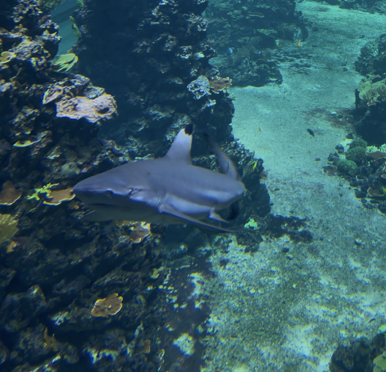 Söfartsmuseet Akvariet