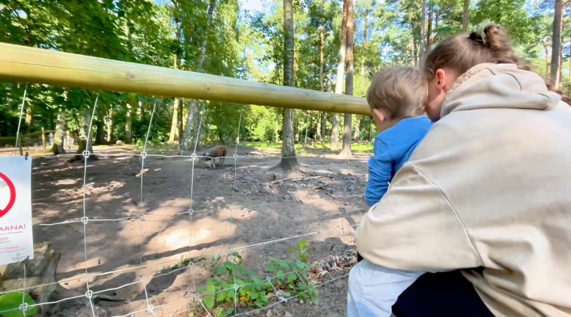 Grisar vid Vallarnas Friluftsområde En vuxen håller ett barn medan de tittar på en inhägnad skog.