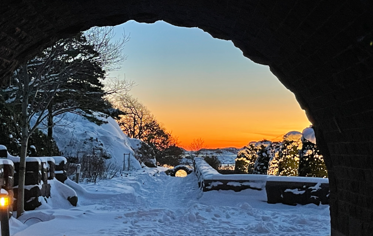 Vinterlandskap med snö, en solnedgång i bakgrunden och träd vid en väg.