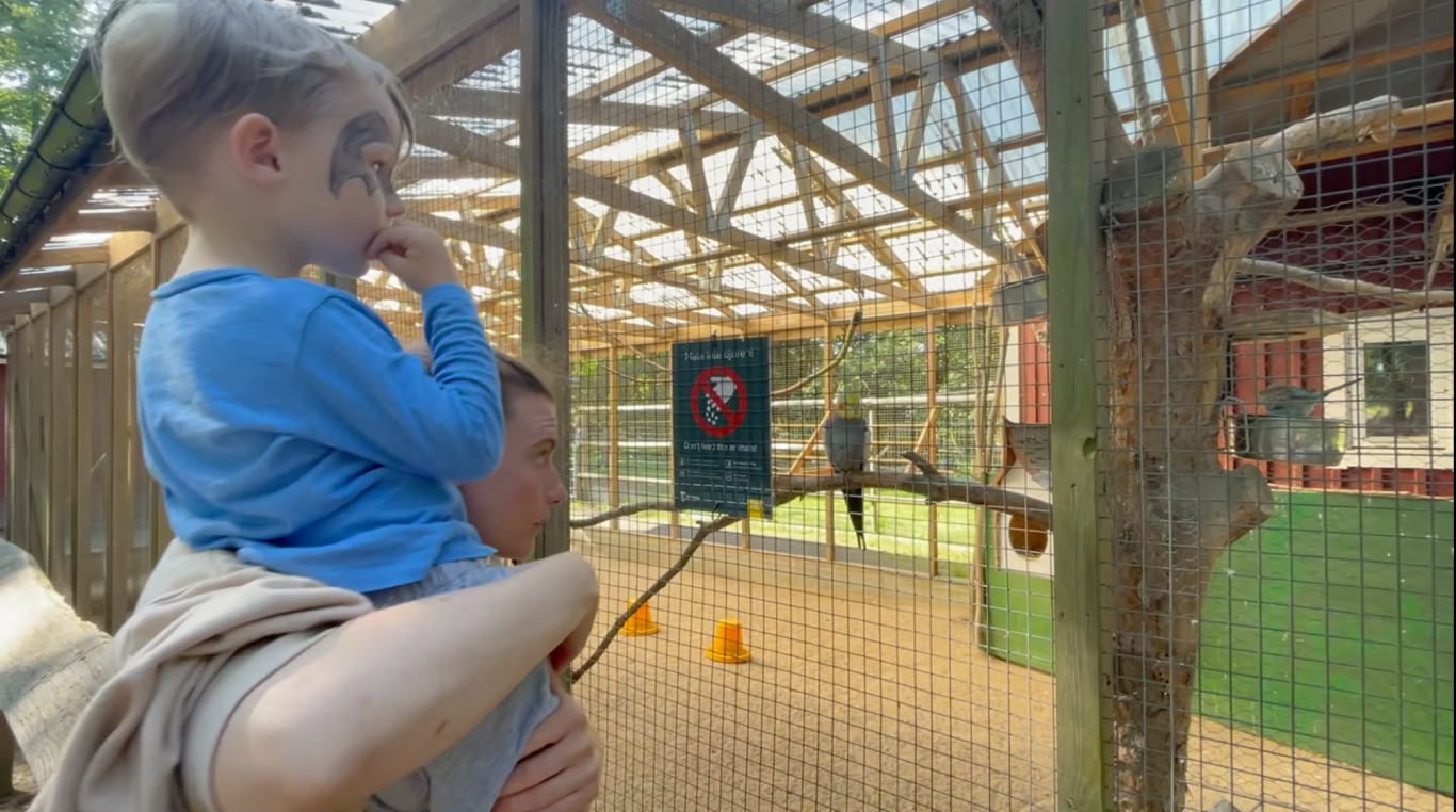 Fåglarna på Vallarnas Friluftsområde Barn sitter på en vuxens skuldra, tittar på en fågel i en bur.