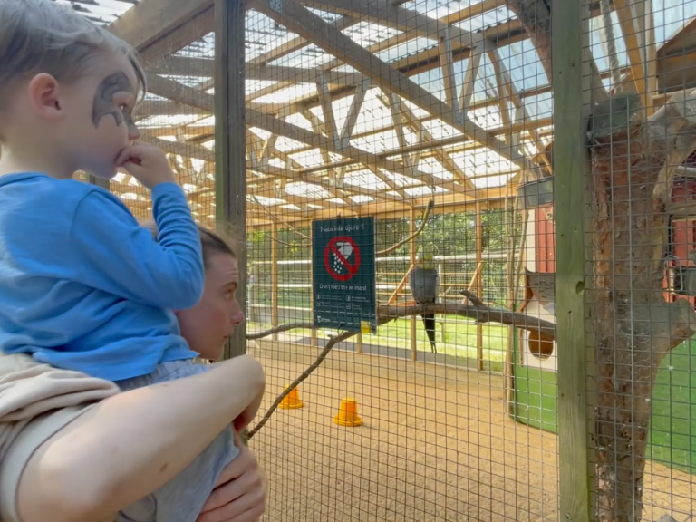 Barnet sitter på en vuxens axlar vid en djurpark, med en skylt i bakgrunden.