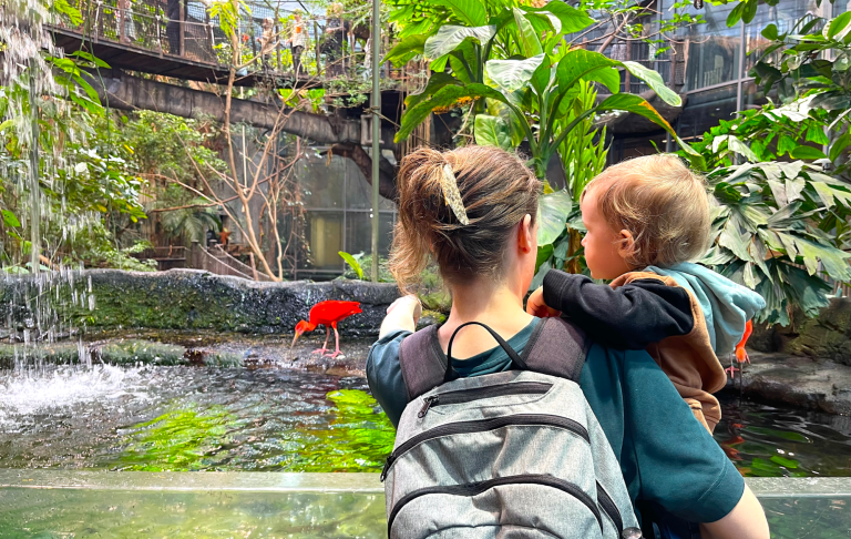 En vuxen person bär ett barn och pekar mot en mångfald av växter och vattenfall.