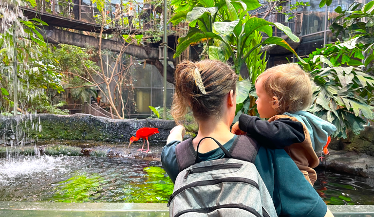 Kvinna håller ett barn i en tropisk växtmiljö med vattenfall i bakgrunden.