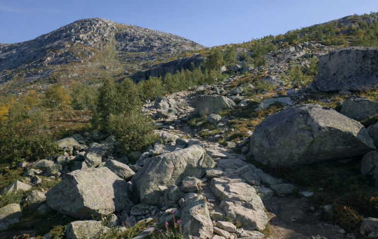 Bergig landskap med stora stenar och färgglad vegetation under klarblå himmel.