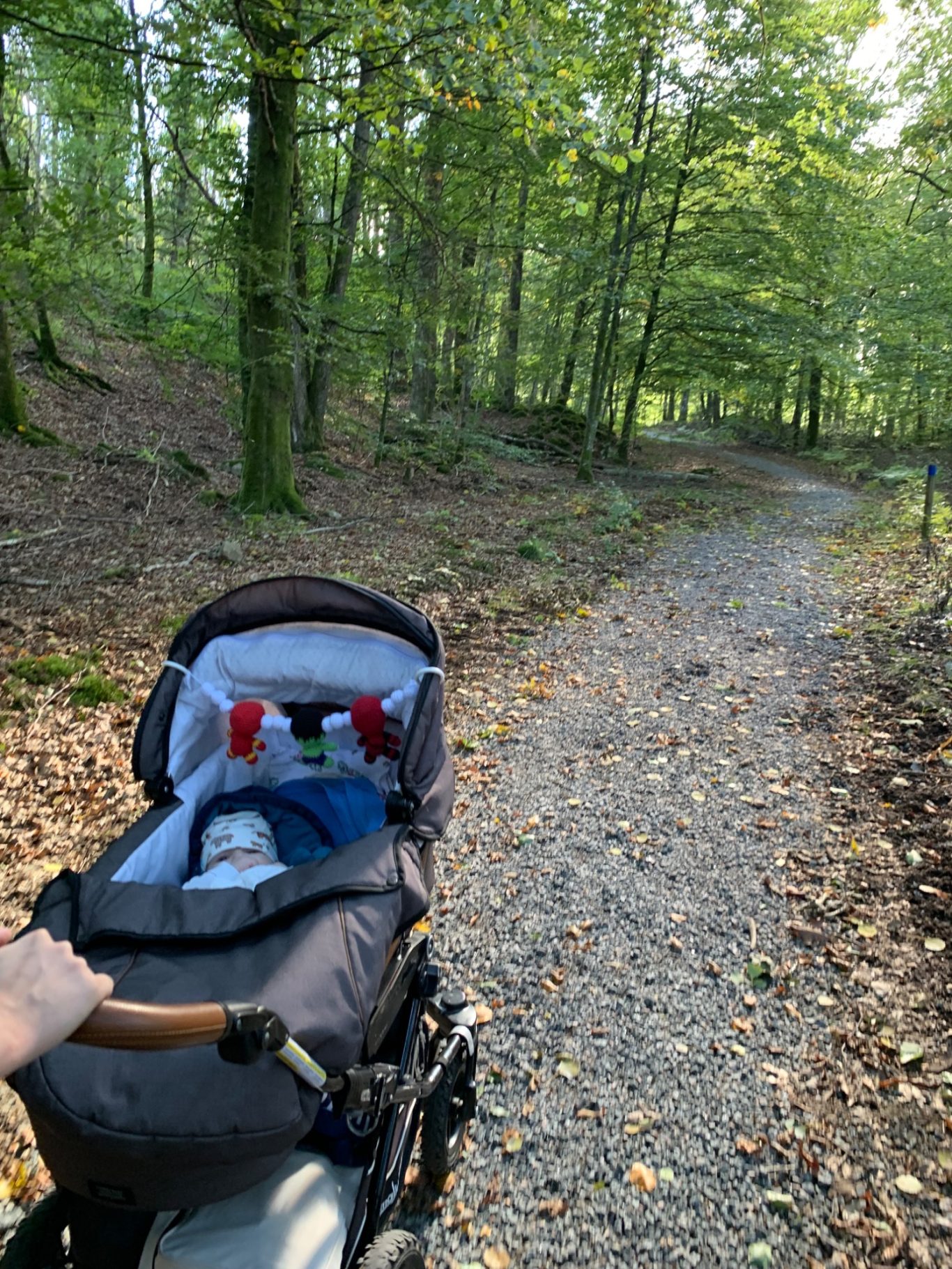 Promenad Barnvagn på grusväg genom en grön skog med soligt ljus.