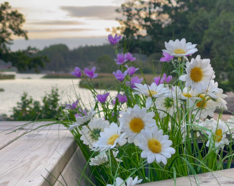 Färgglada blommor i en korg vid vattnet i en naturskön miljö.
