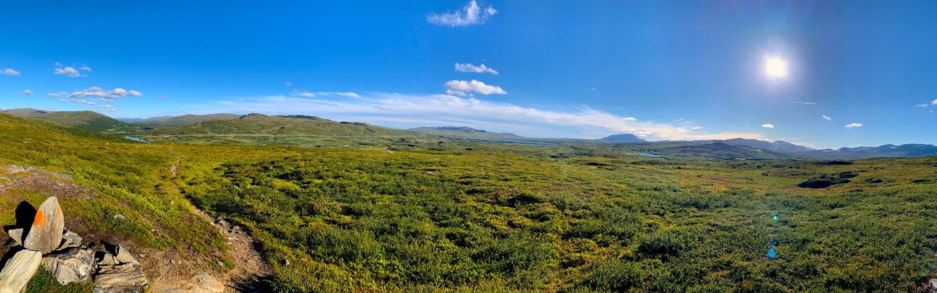 Vidsträckt grönskande landskap under en klar blå himmel med en stark sol.