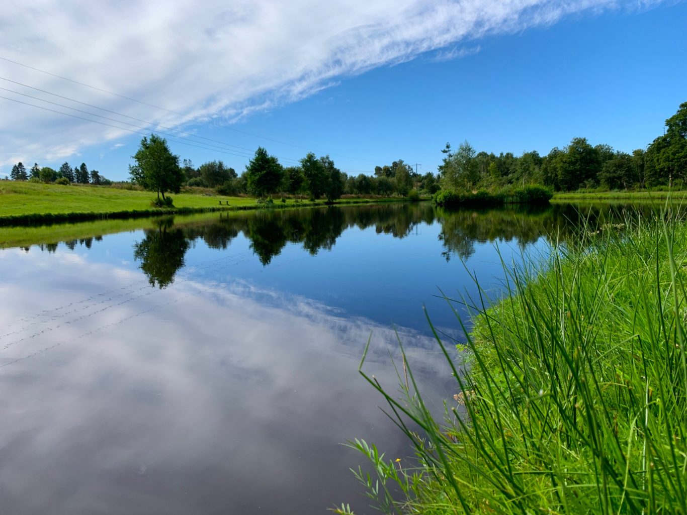 Fiskar i Sunnedamm Sportfiske Lugnt vattenspegel med gröna gräs kanter och blå himmel i bakgrunden.