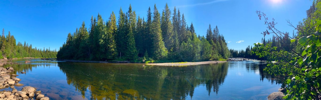 En spegelblanka å omgiven av gröna tallar och en klar blå himmel.