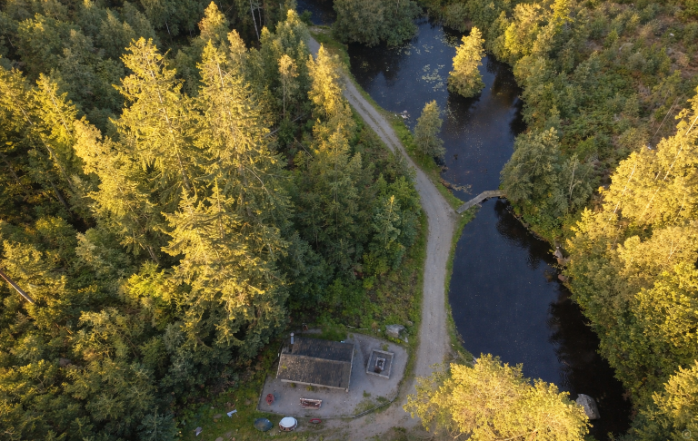 Utsikt över en väg som löper längs en sjö omgiven av skog.