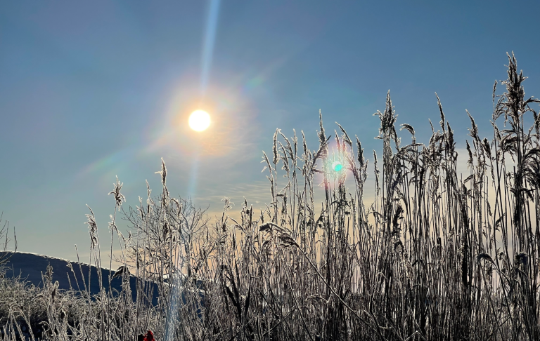 Solen skiner över frostat gräs och en klar himmel.