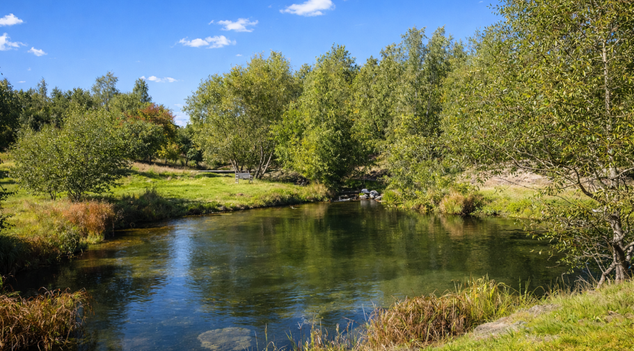 En lugn sjö omgiven av grön vegetation och träd under en blå himmel.