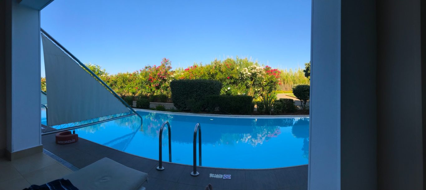 Poolen tidig morgon Utsikt över en blå pool omgivet av gröna träd och en klar himmel.