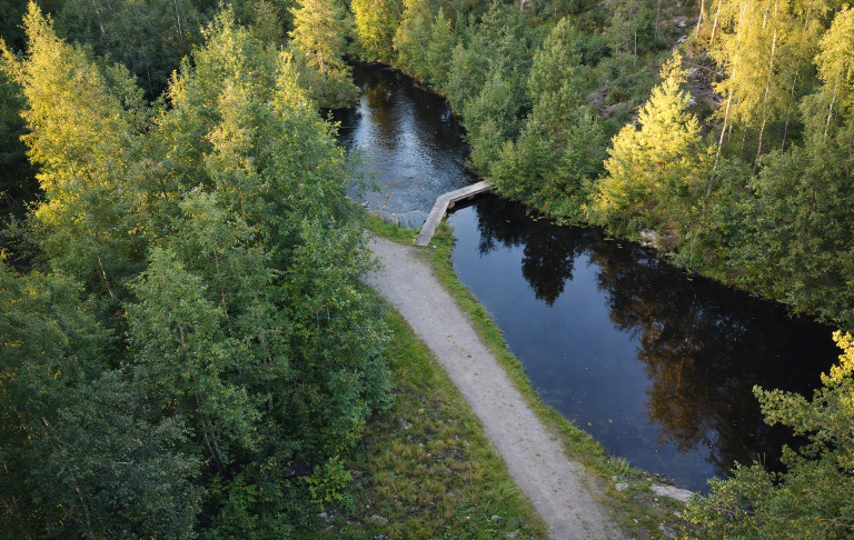 En slingrande stig vid en flod omgiven av tät grönska och träd.