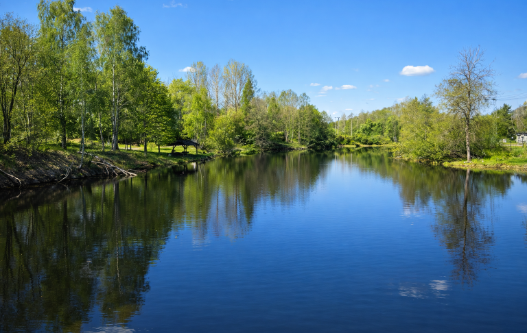 Lugnt vattent memo med träd som speglas i klart blue.