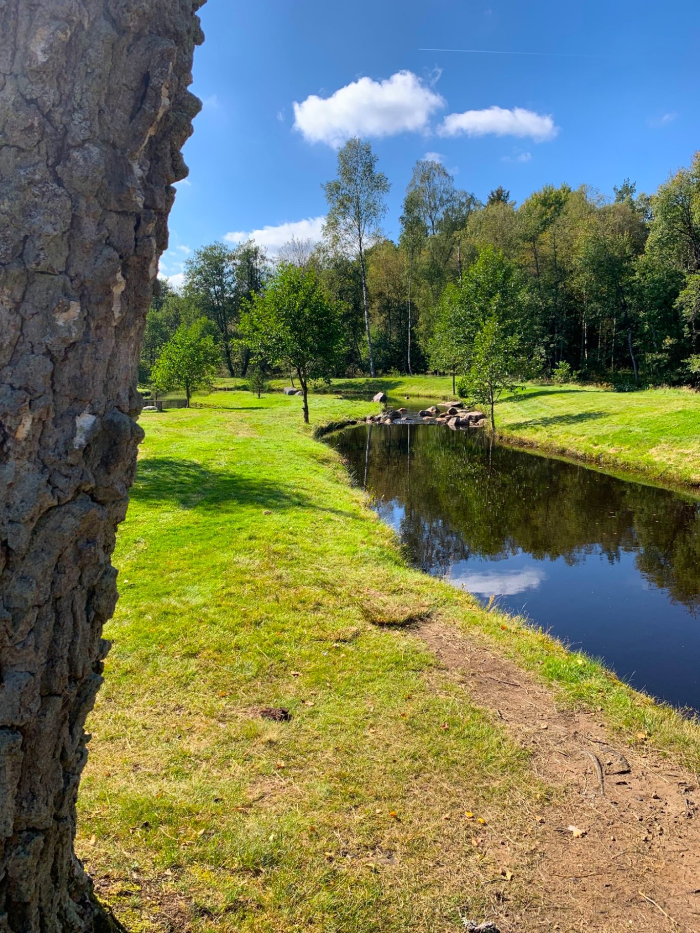 Flugströmmen i Sunnedamm Lummig grön landskap med en spegelblanka flod och träd i bakgrunden.