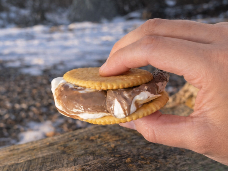 S'more, mariekex, marshmallow och choklad över elden en vintrig utflykts dag.