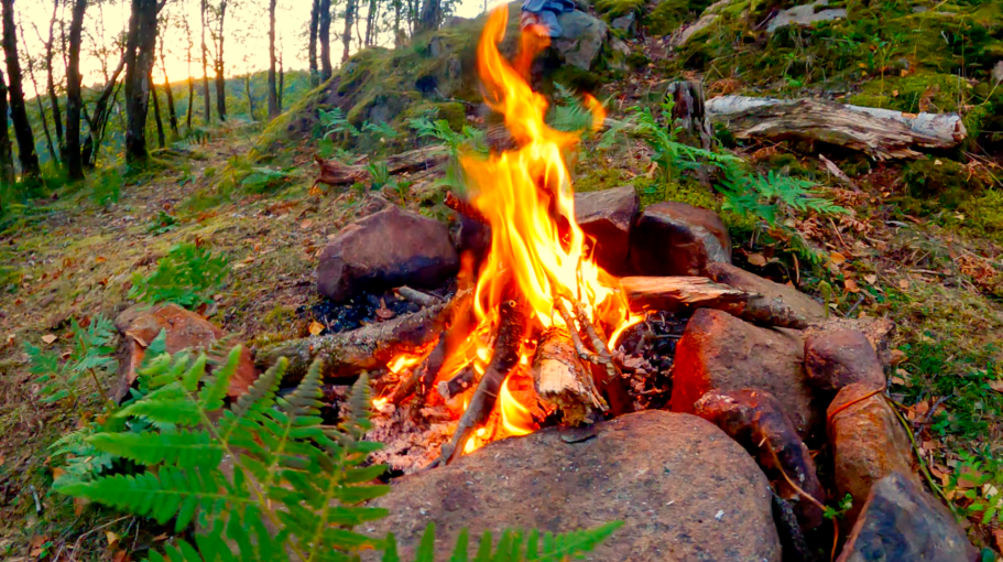 Läger elden Eld som brinner i en stenig lägerplats med omgivande träd och grönska.