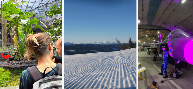Person står framför en tropisk miljö med en röd fågel, snöiga berg i bakgrunden.