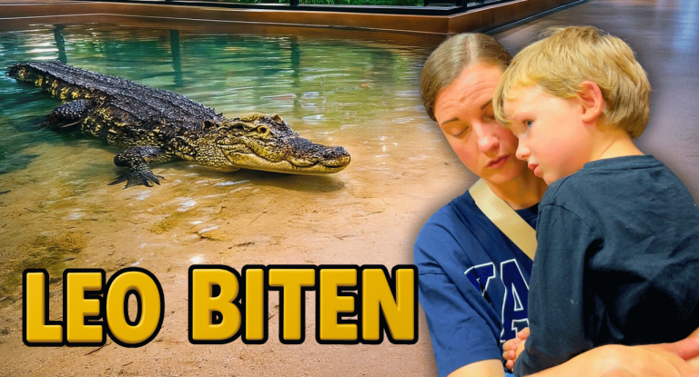 Varbergs Tropikarium – Ormar, Apor & Galapagossköldpaddor En pojke kramar en vuxen nära en krokodil i ett akvarium. Texten "LEO BITEN" syns.