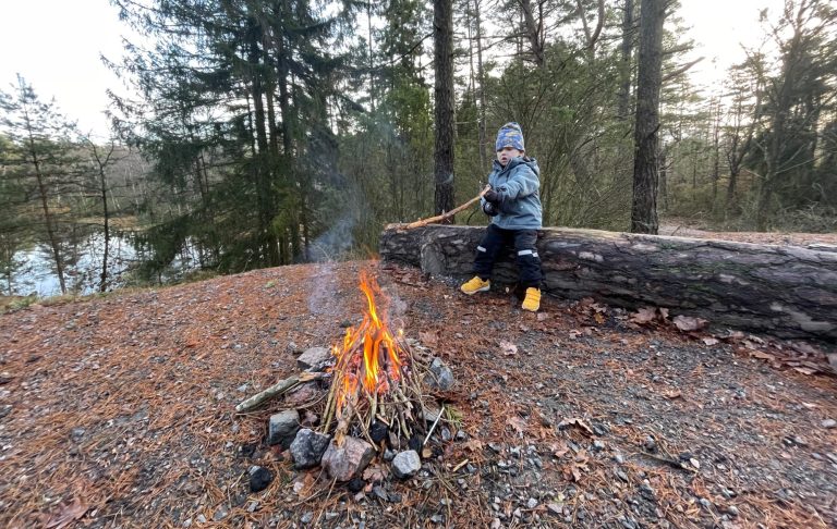 Barn som lagar mat vid en lägereld i skogen. Träd och sjö i bakgrunden.