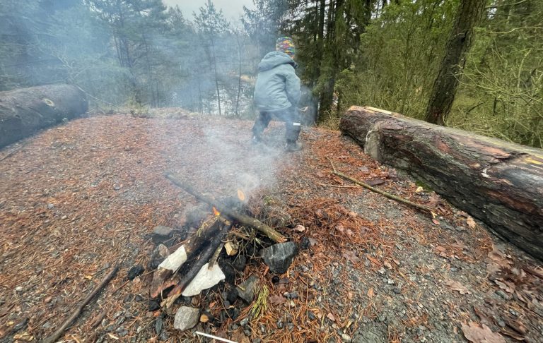 Eldplats med rök och en person som står i bakgrunden bland träden.