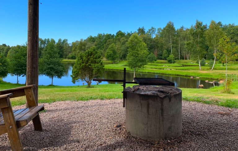 En grillplats vid en lugn sjö omgiven av gröna träd och gräsmatta.