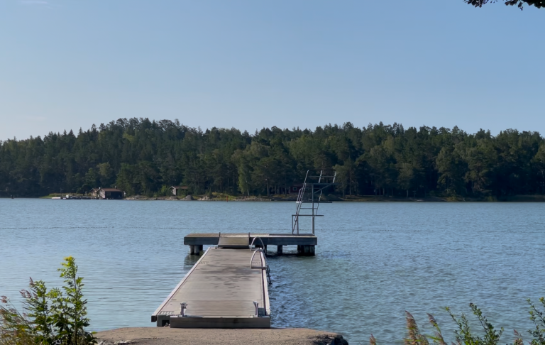 Brygga vid en lugn sjö med grönskande skog i bakgrunden.