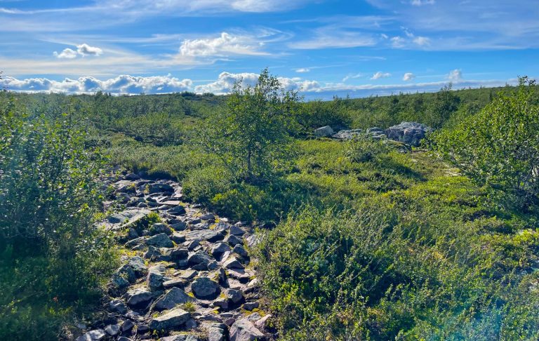 Stenig stig/led genom grönskande fjällandskap med träd och blå himmel.