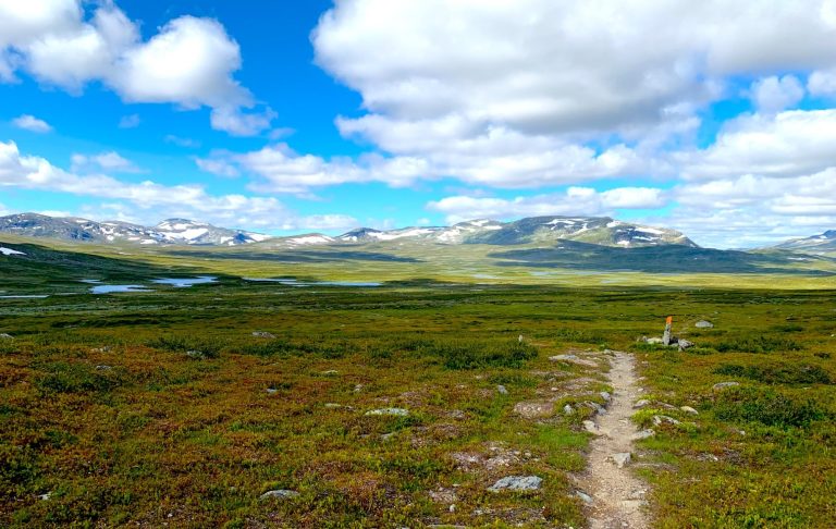 Vidsträckt fjällandskap med stigar, sjöar och grön vegetation under en blå himmel.