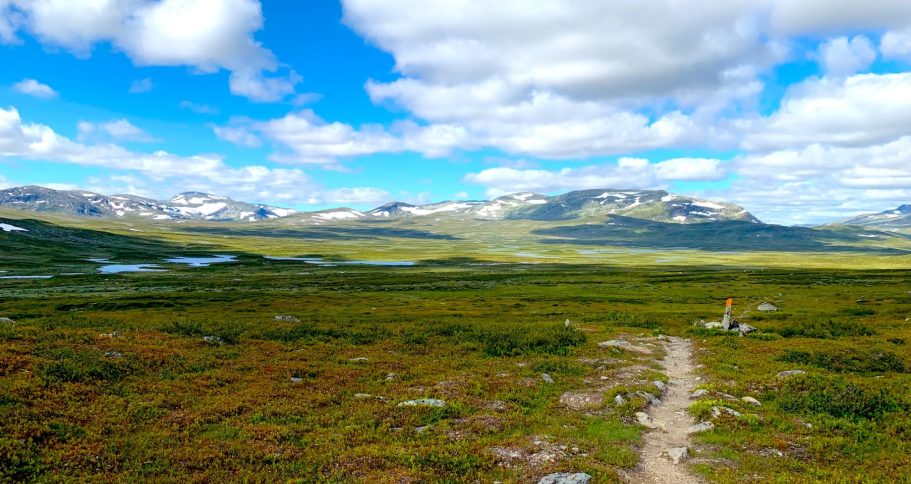 Brett landskap med grön vegetation, fjäll och blå himmel med moln.