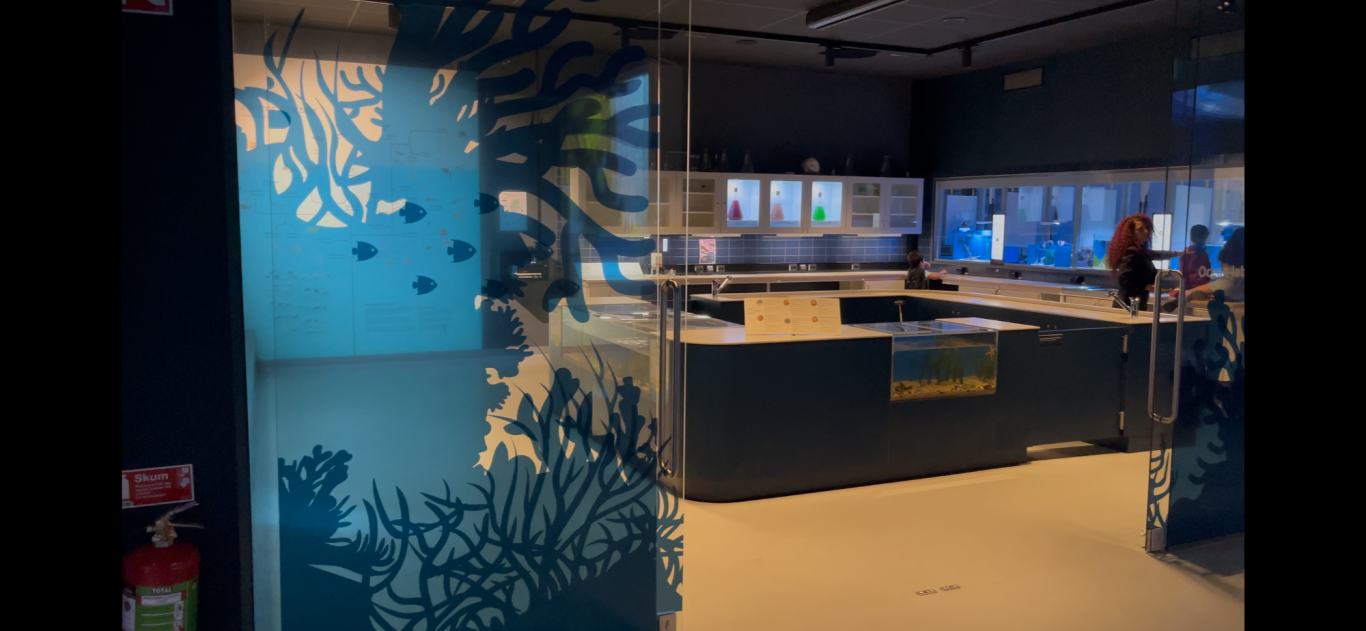 Akvariet Modernt kök med blå detaljer och fiskmotiv på väggen, utrustat för matlagning.