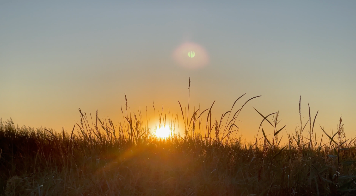 Solnedgång över Campingen i Björkäng Solnedgång bakom gräset, med mjuka färger i himlen.