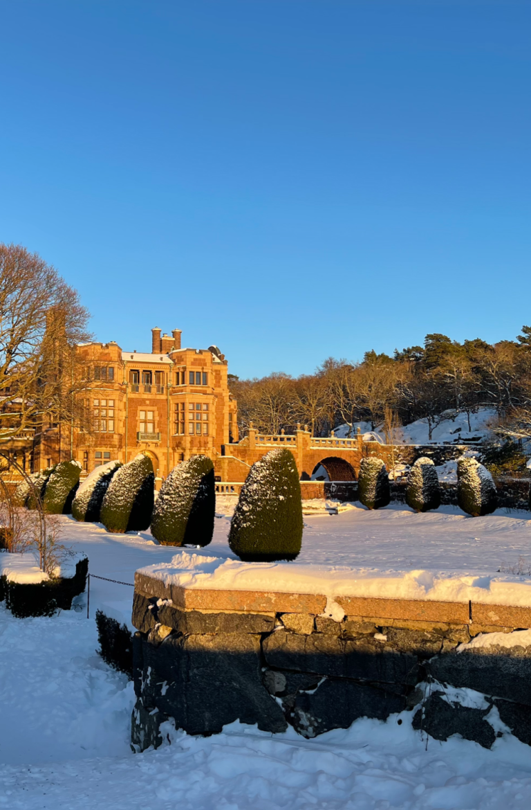 Vinterlandskap med snö, klippta buskar och en byggnad i bakgrunden under blå himmel.