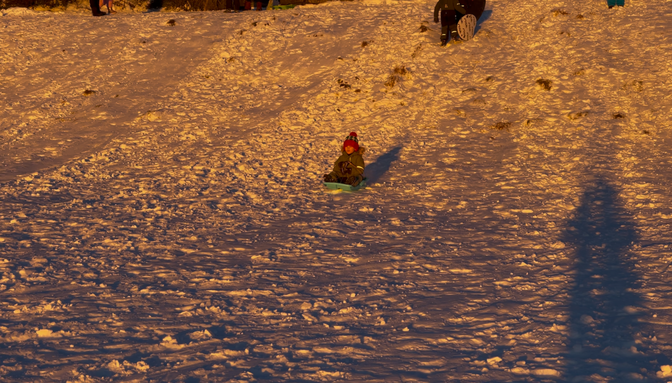 Pulka åkning Tjolöholm Ett barn åker pulka nerför en snötäckt kulle i solnedgången.